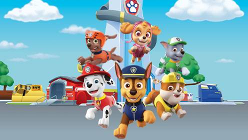 Paw Patrol S06 B03